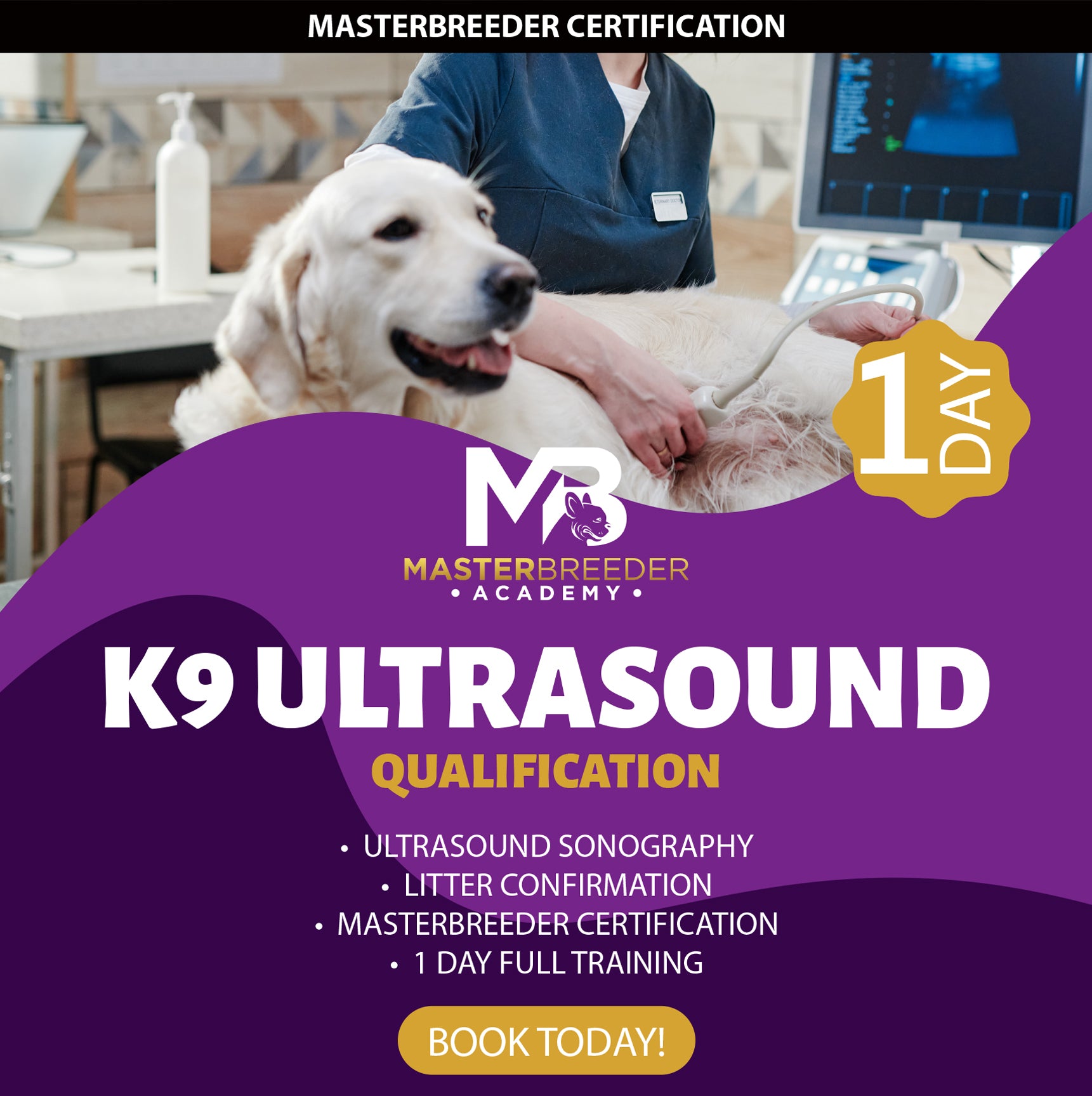(MB) 3 Ultrasound Scanning Course