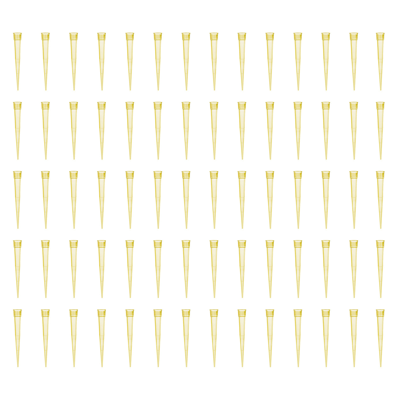 (MB) Pipette Tips X 500