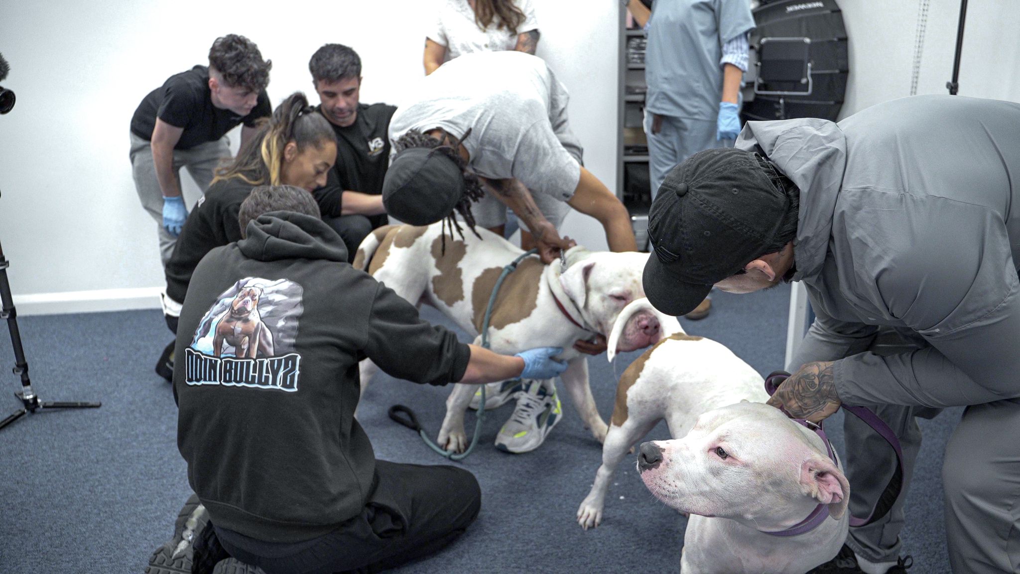 (MB) 2 Canine Cryopreservation Course