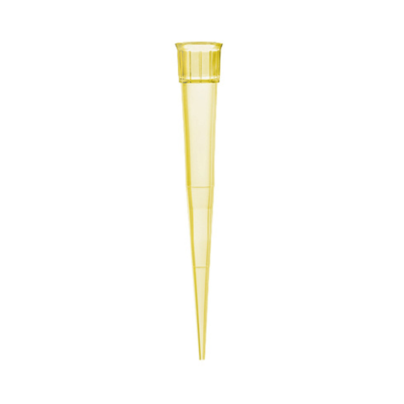 (MB) Pipette Tips X 500