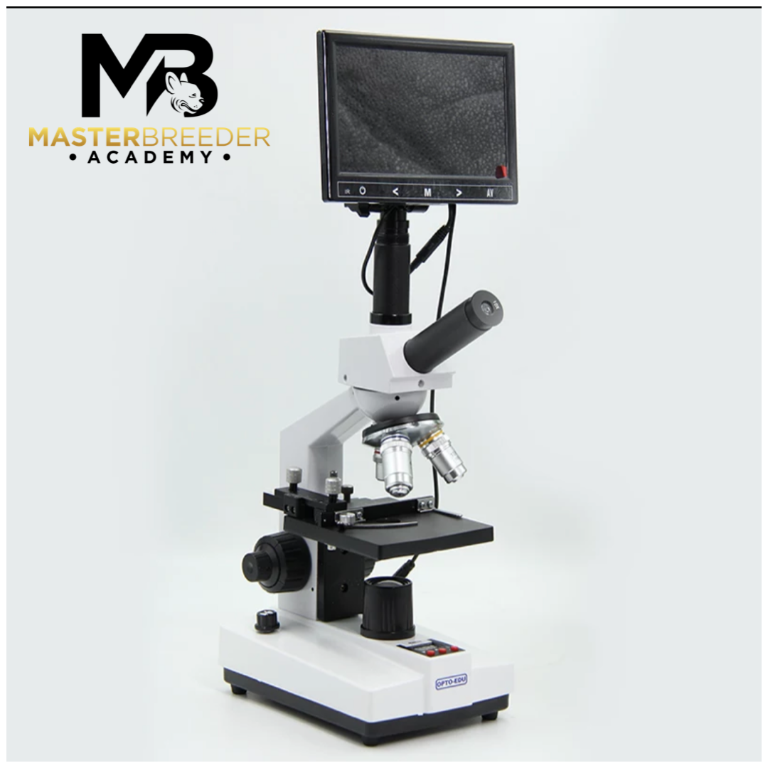 Microscope & cytology course