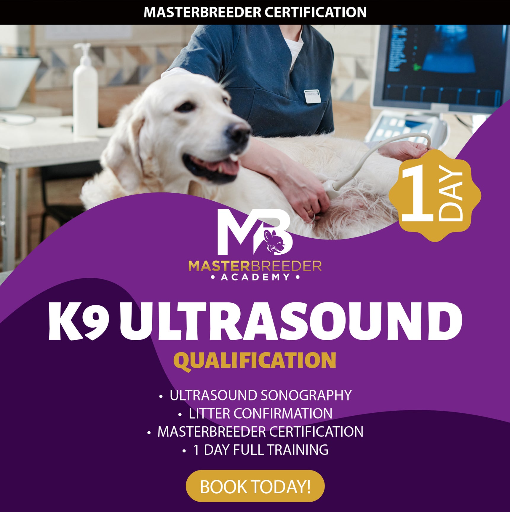 (MB) 3 Ultrasound Scanning Course